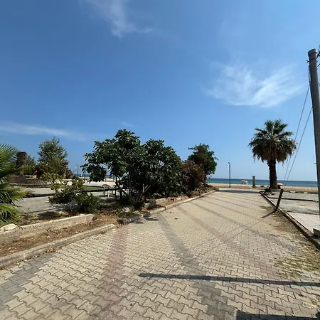 50 Steps From The Sea